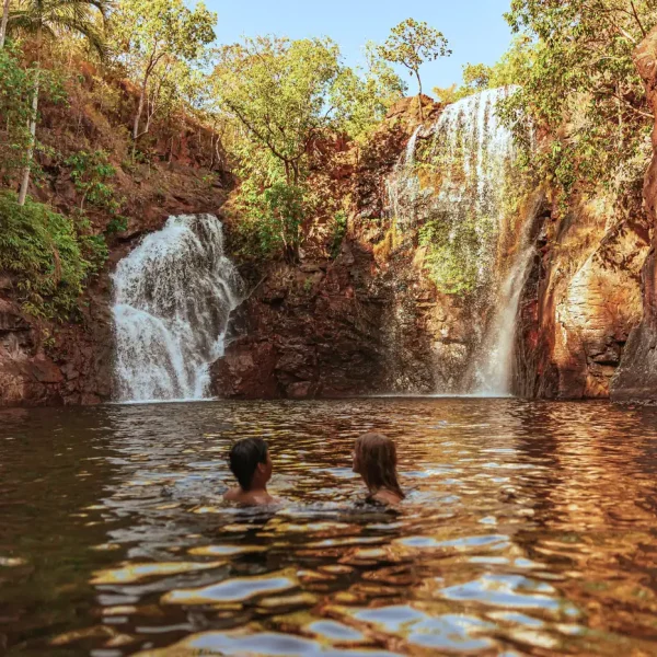 1 day litchfield tours darwin