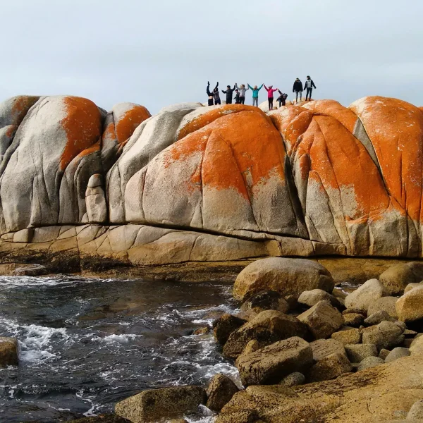 10 days in tasmania trip