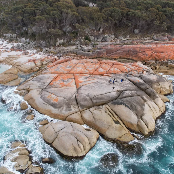 10 days in tasmania trips