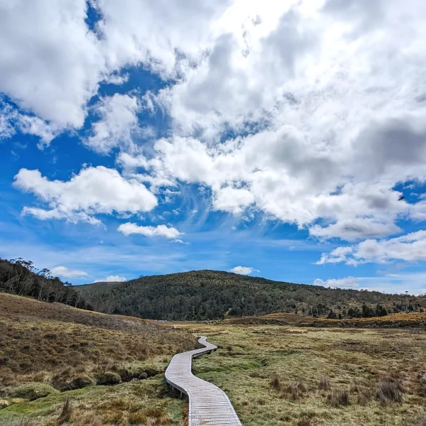 10 days tasmania trip