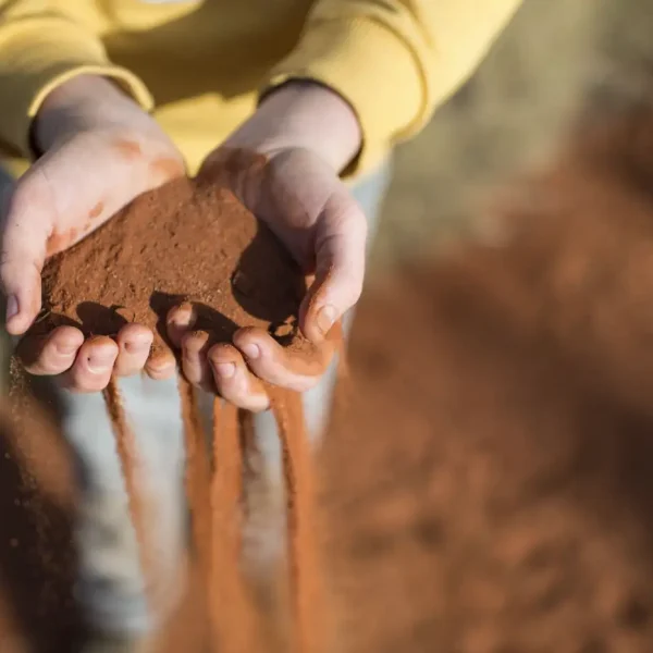 2 day kata tjuta tours from Yulara