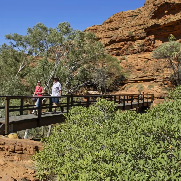 3 day Kings Canyon Tour