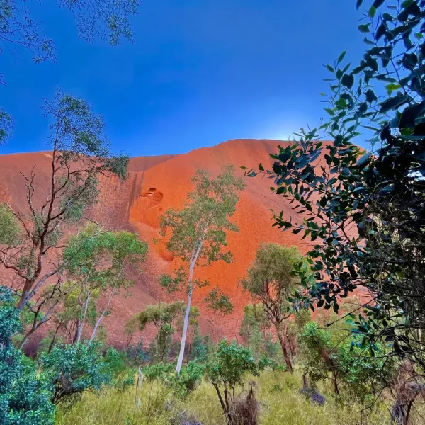 3 day Uluru exploration from Yulara