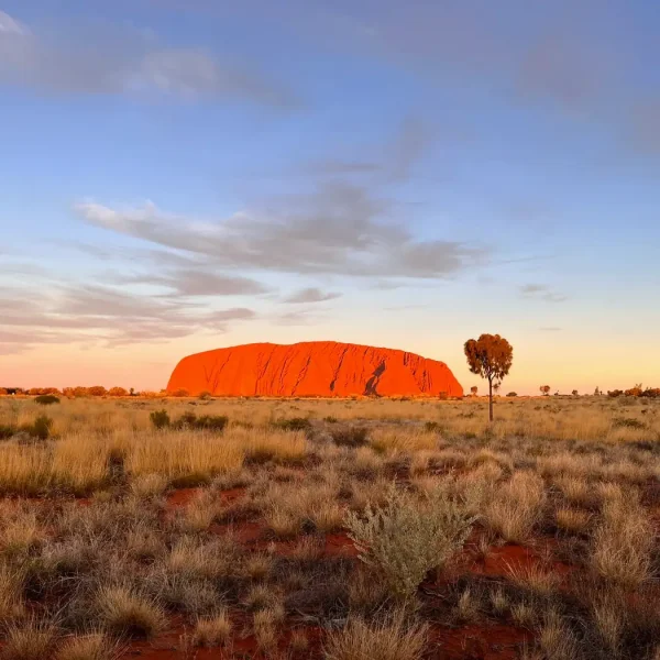 4 day Uluru to Kings Canyon tour