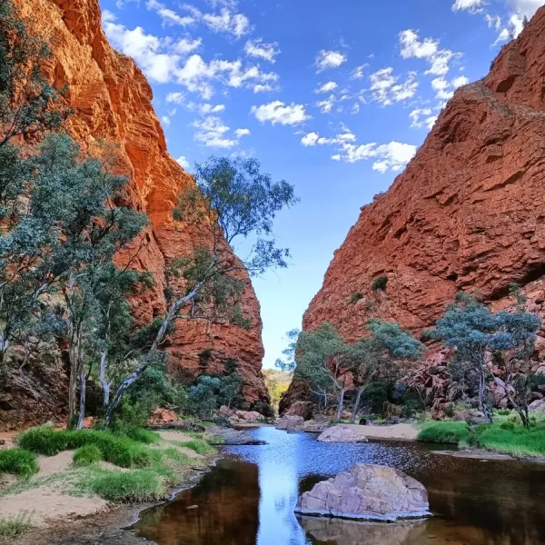 4 day outback tour from Yulara
