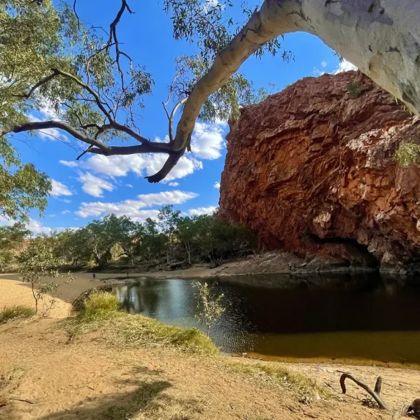 5 Day Larapinta Walking Trip
