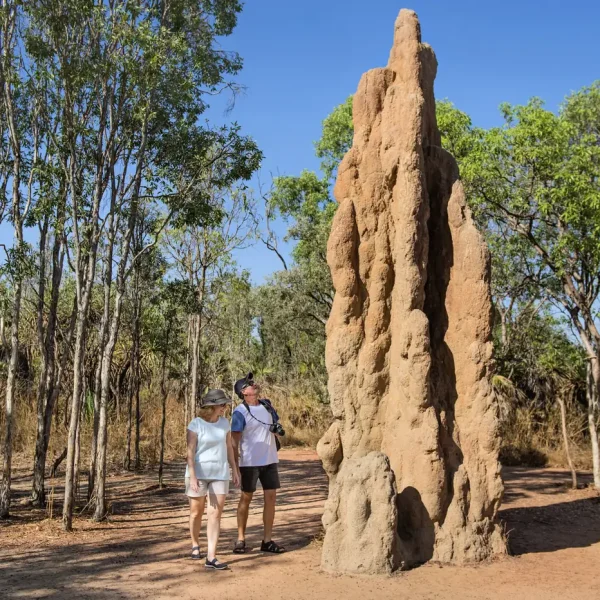 5 day kakadu tour