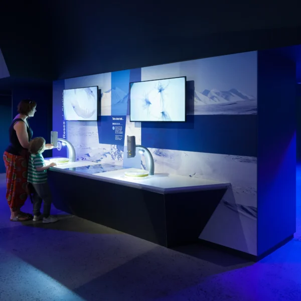 phillip island penguin tour from melbourne