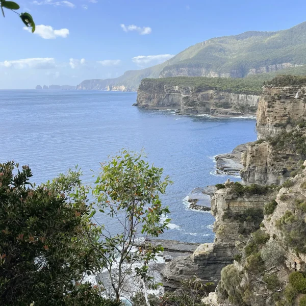 6 day Tasmania highlights tour