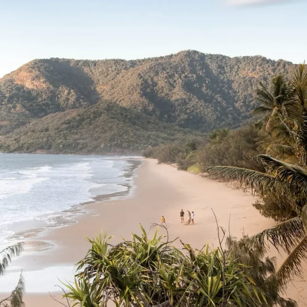 9 day brisbane to daintree tour