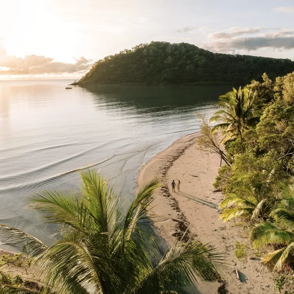 9 day brisbane to daintree tour