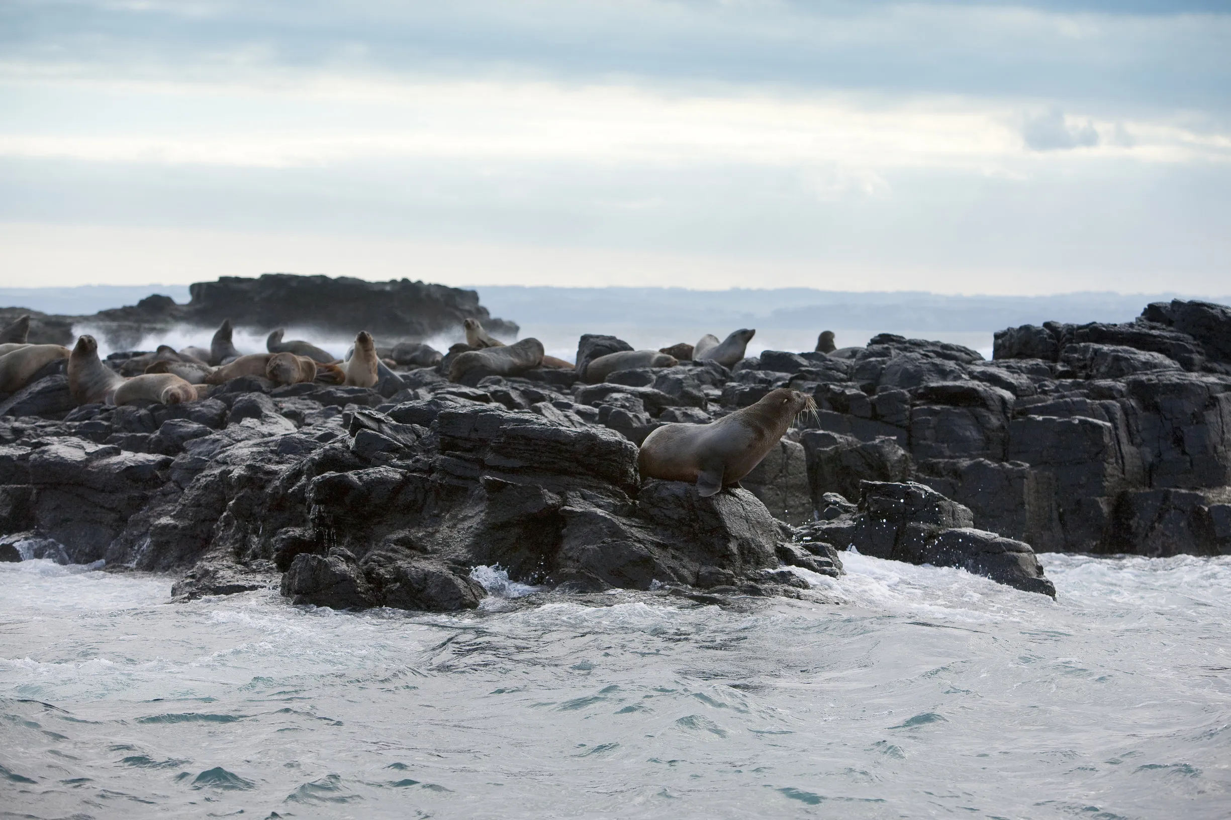 A Marine Paradise