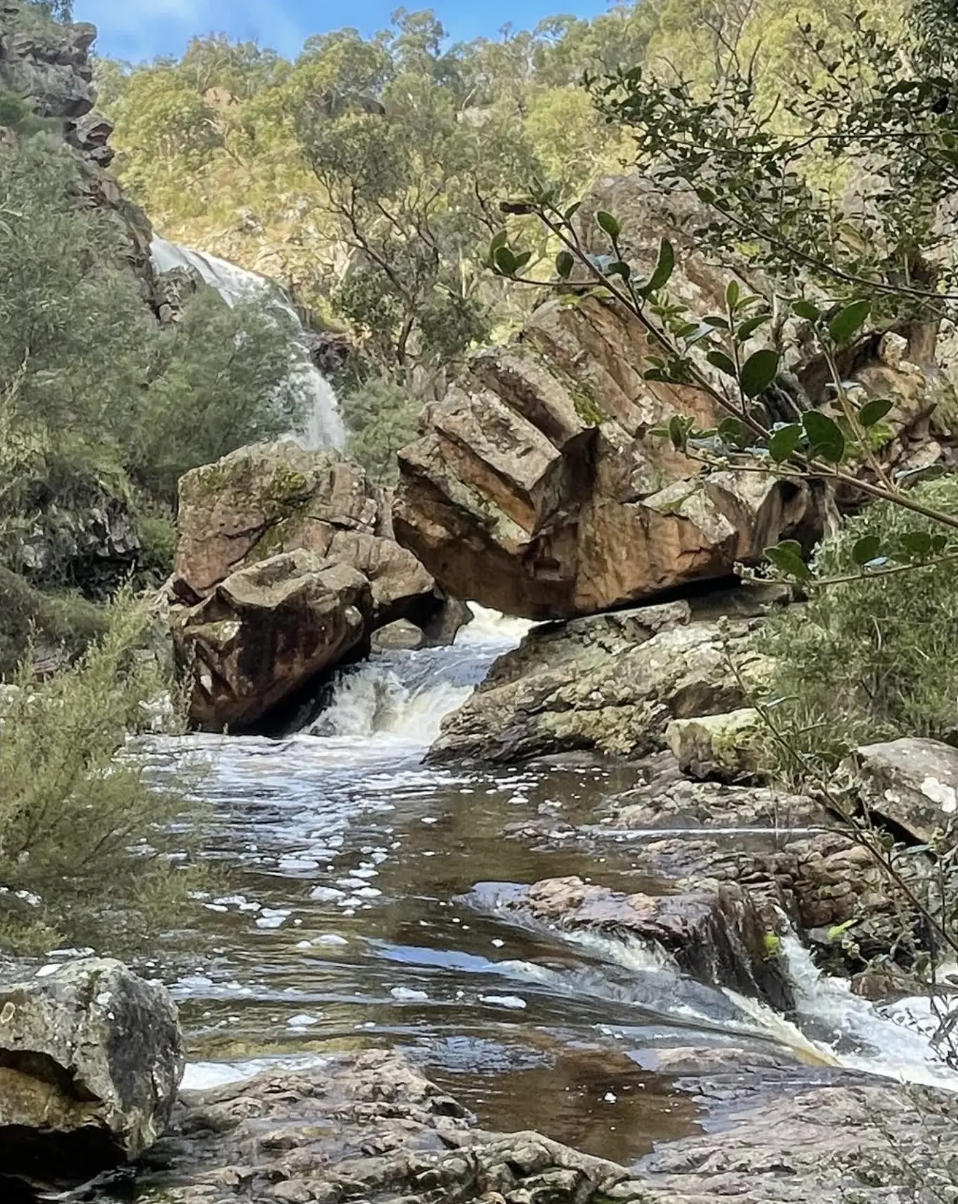 A Tranquil Escape in Nature’s Heart
