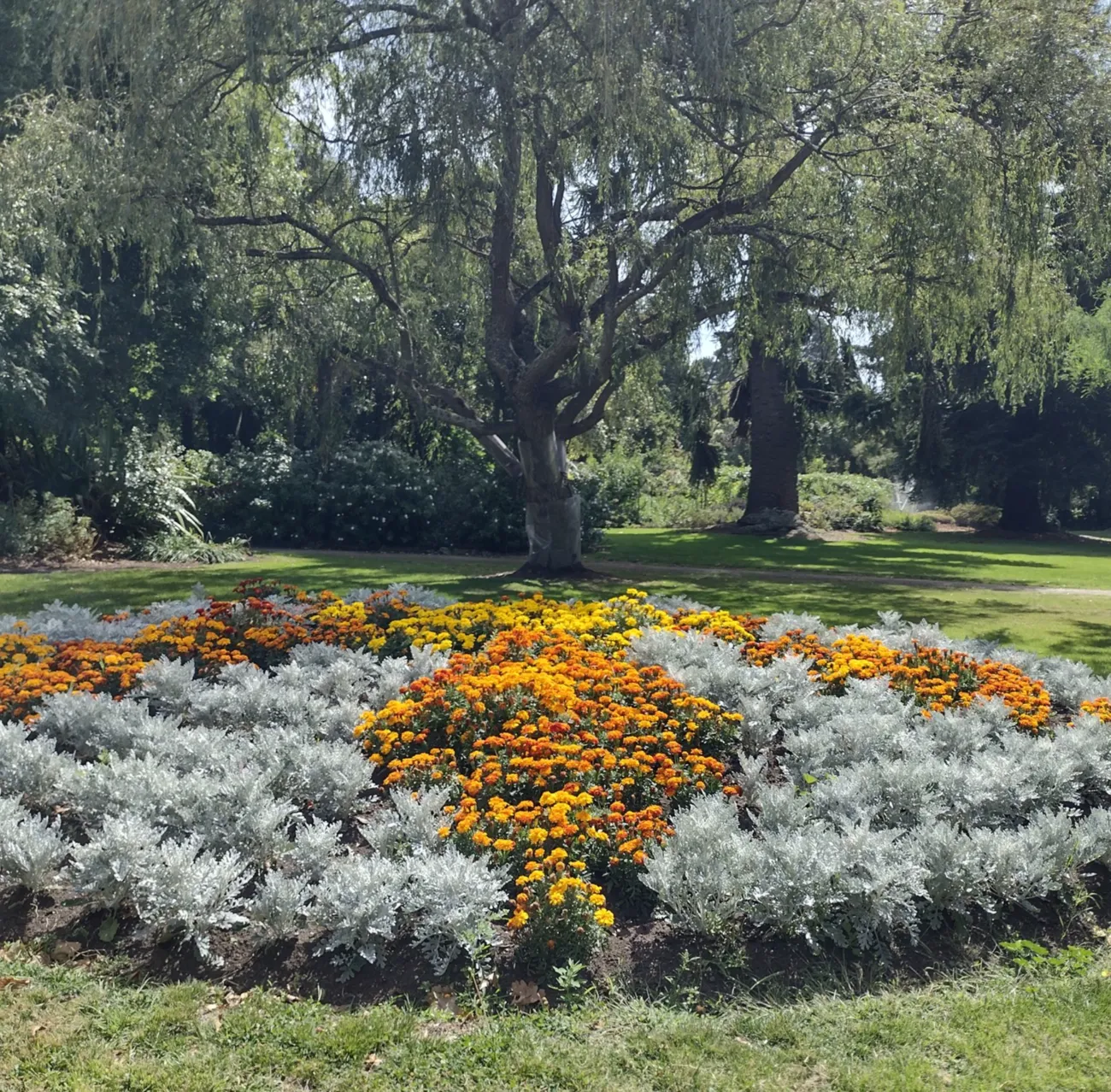A Visit to Botanic Gardens