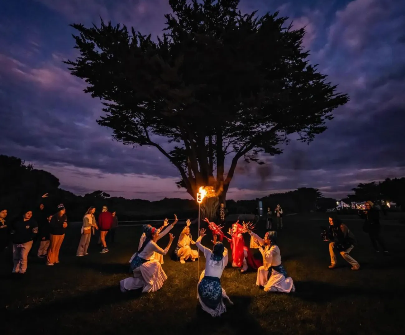 Apollo Bay Music Festival
