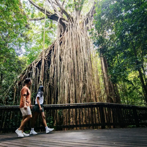 boutique 9 day queensland tour