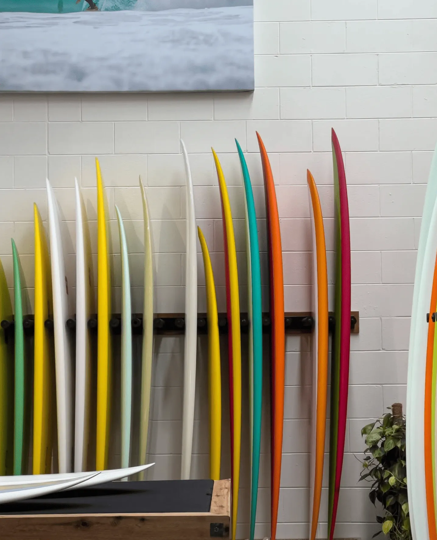 Australian National Surfing Museum