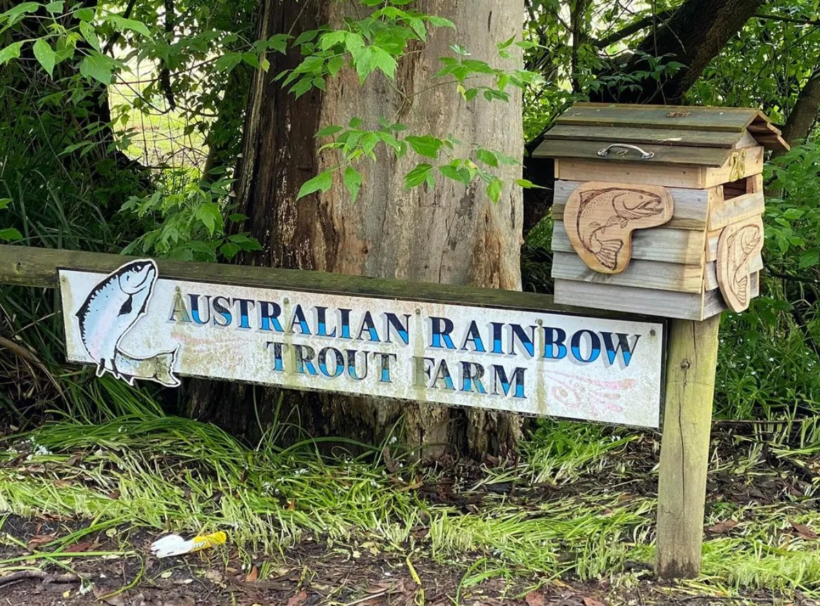 Australian Rainbow Trout Farm