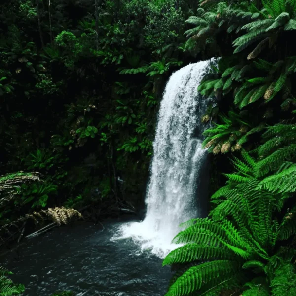 Beauchamp Falls