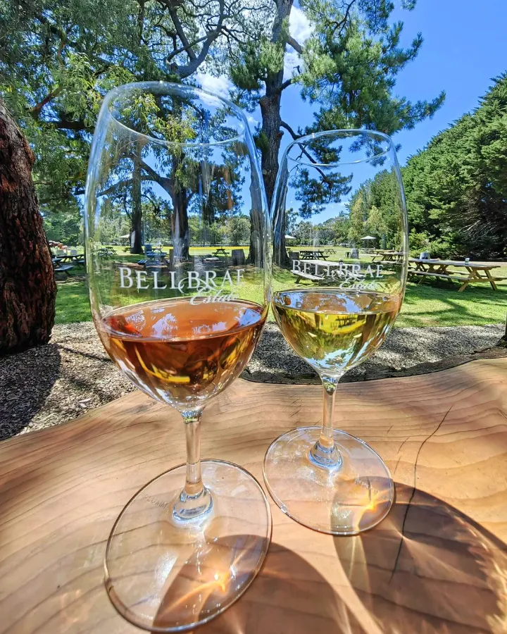 Bellbrae Vineyard