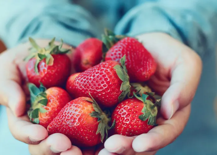 Berry Gathering