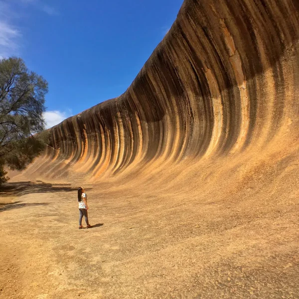 Best Esperance tour