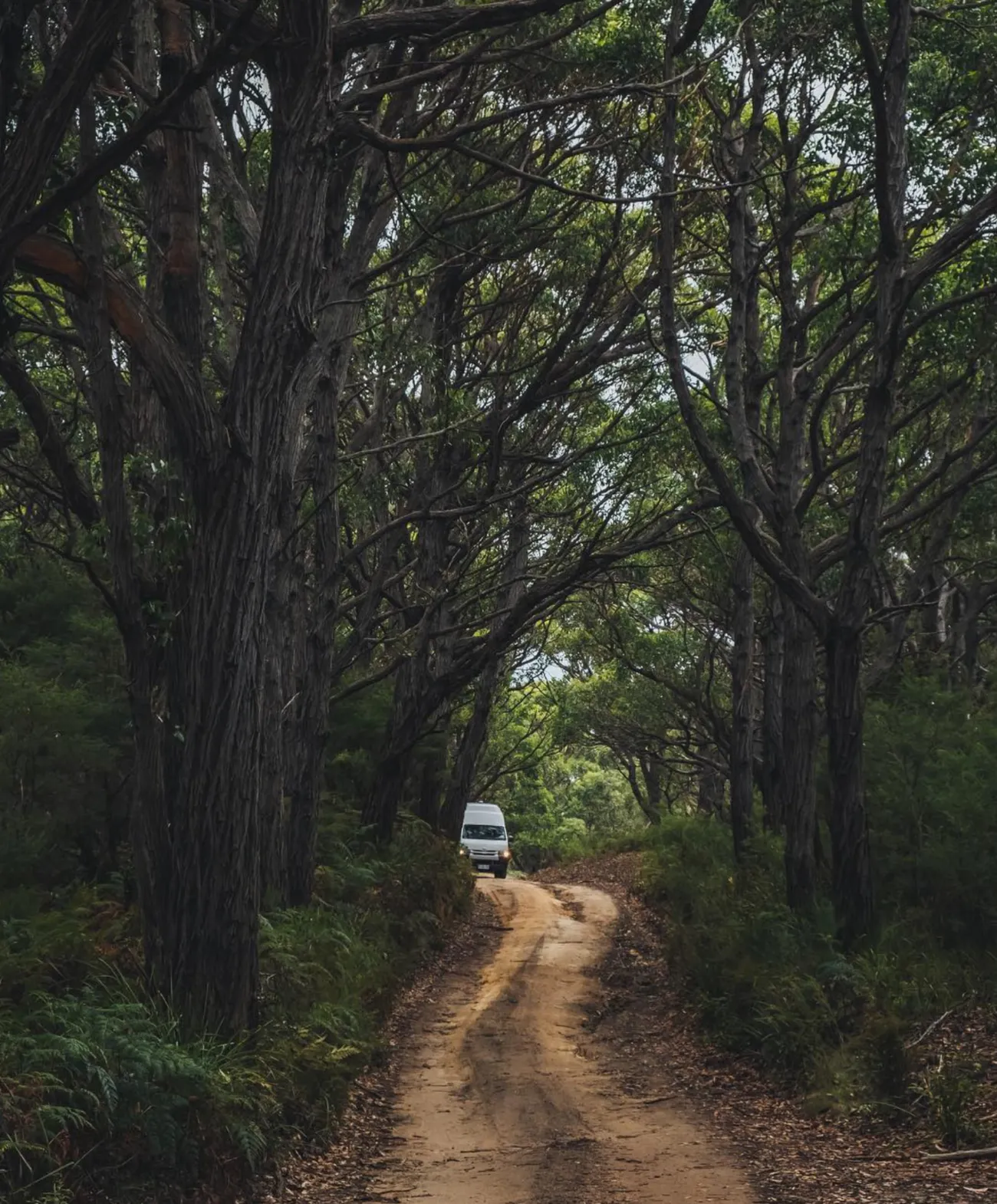 Best Time to 4WD