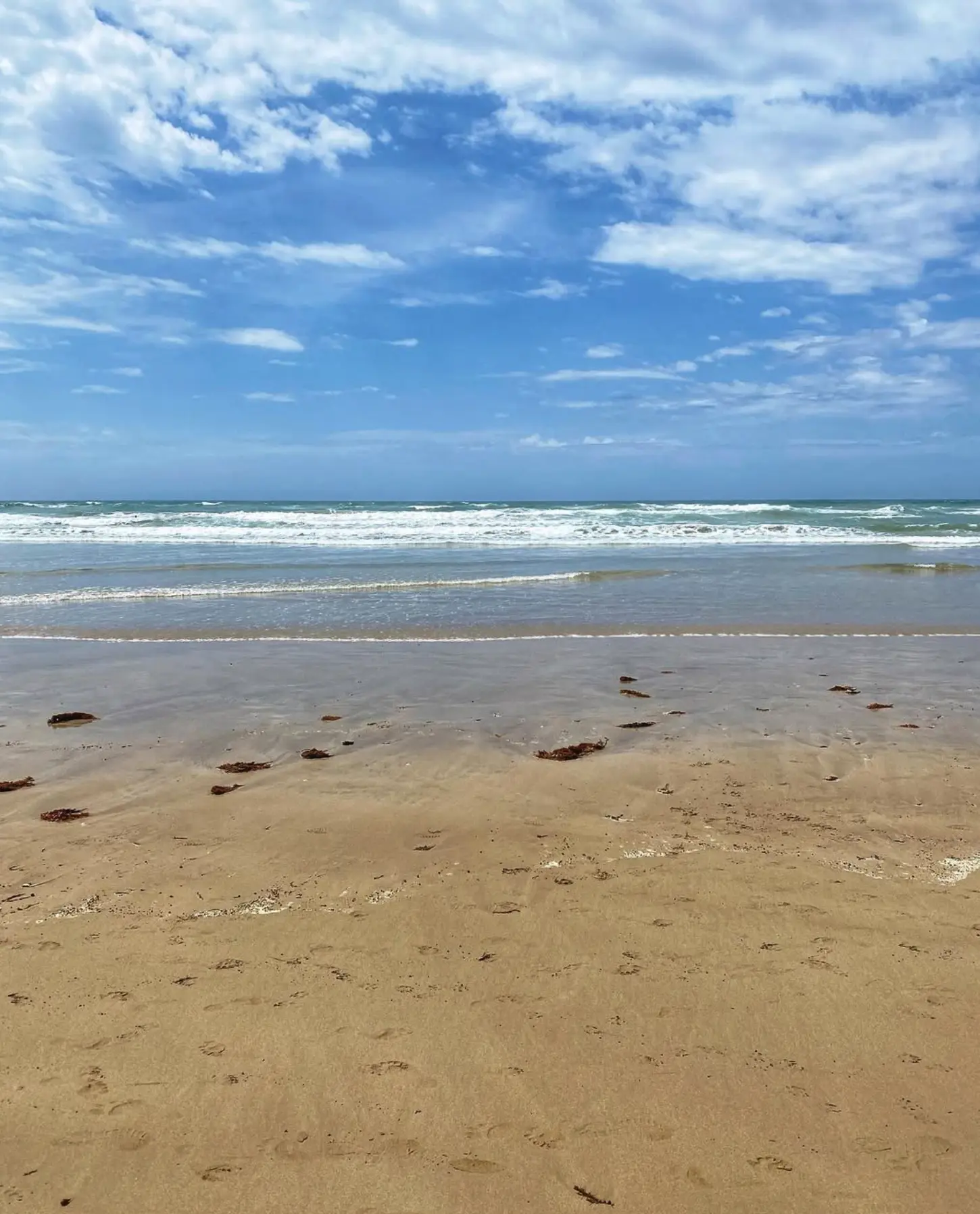 Best Time to Visit Bluff