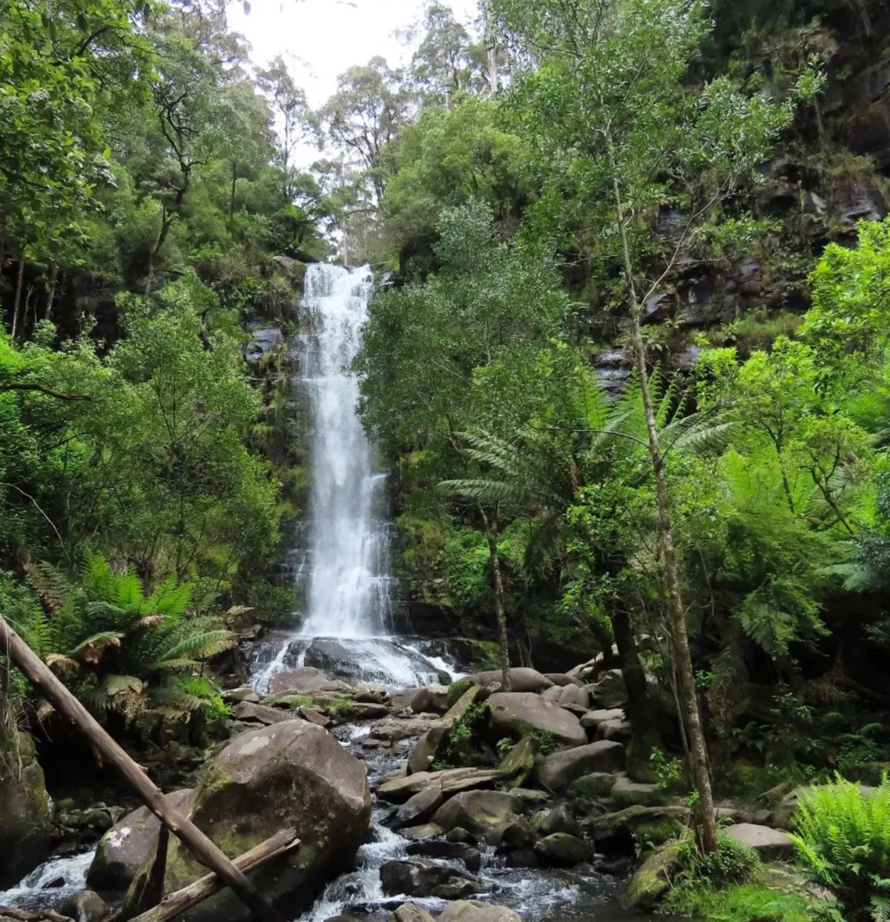 Best Time to Visit Falls Erskine Falls