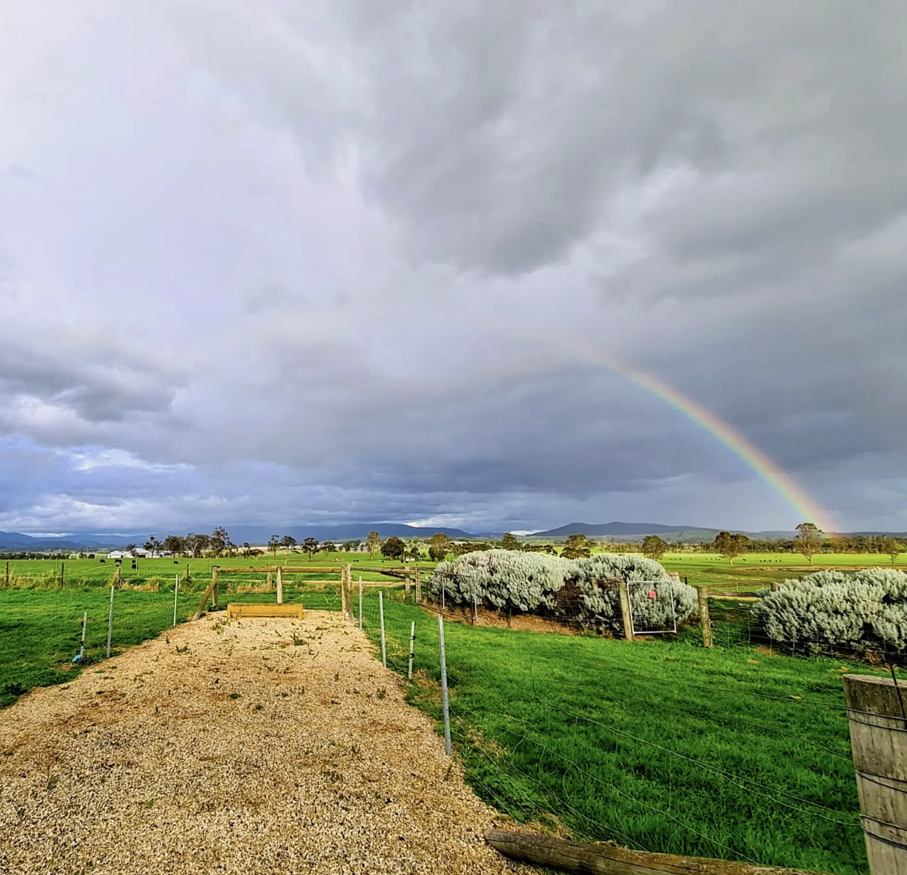 Best Time to Visit Yarra Valley Dairy