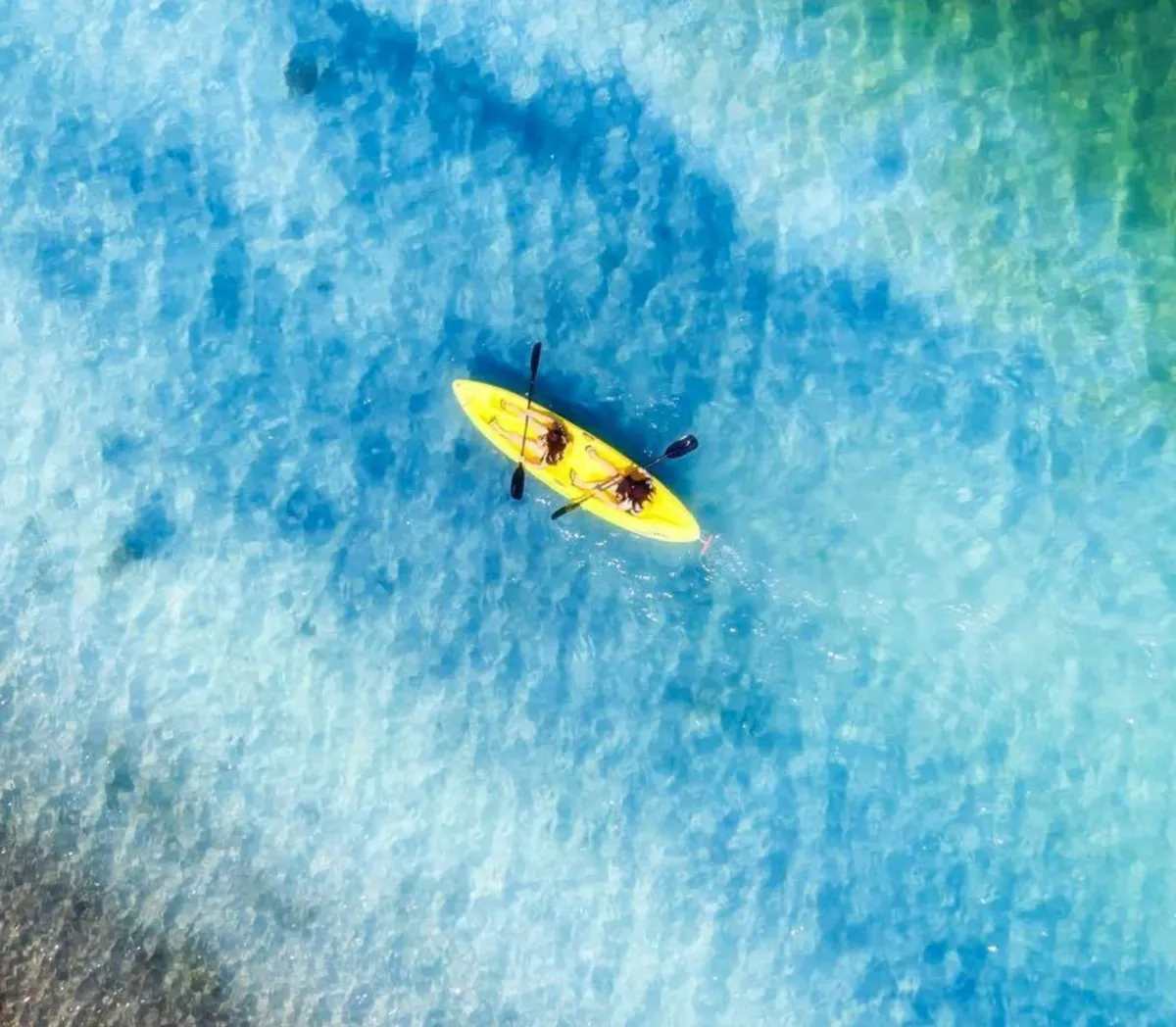 Best Times to Kayak on the River