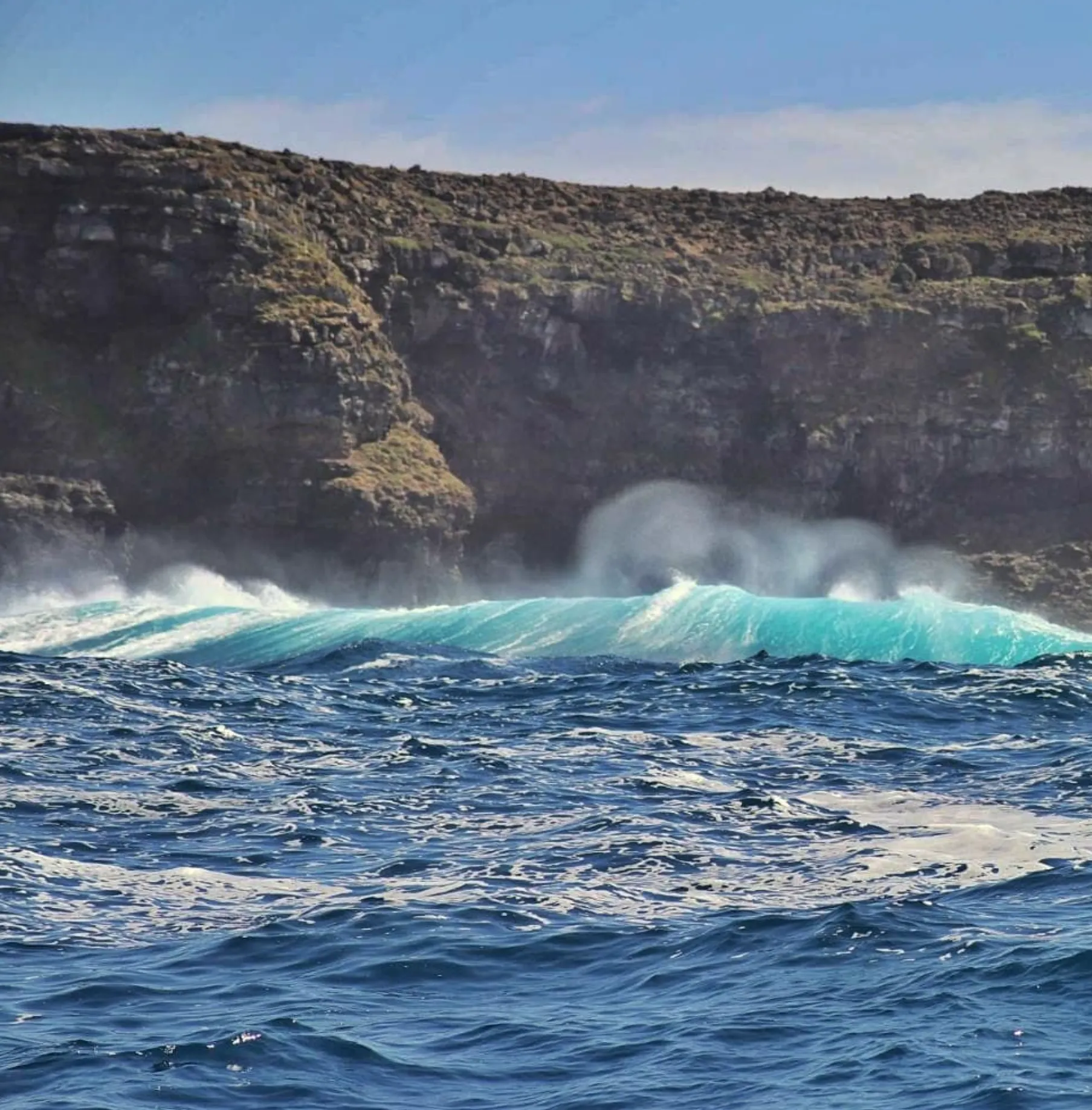 Best time to visit Lady Julia Percy Island