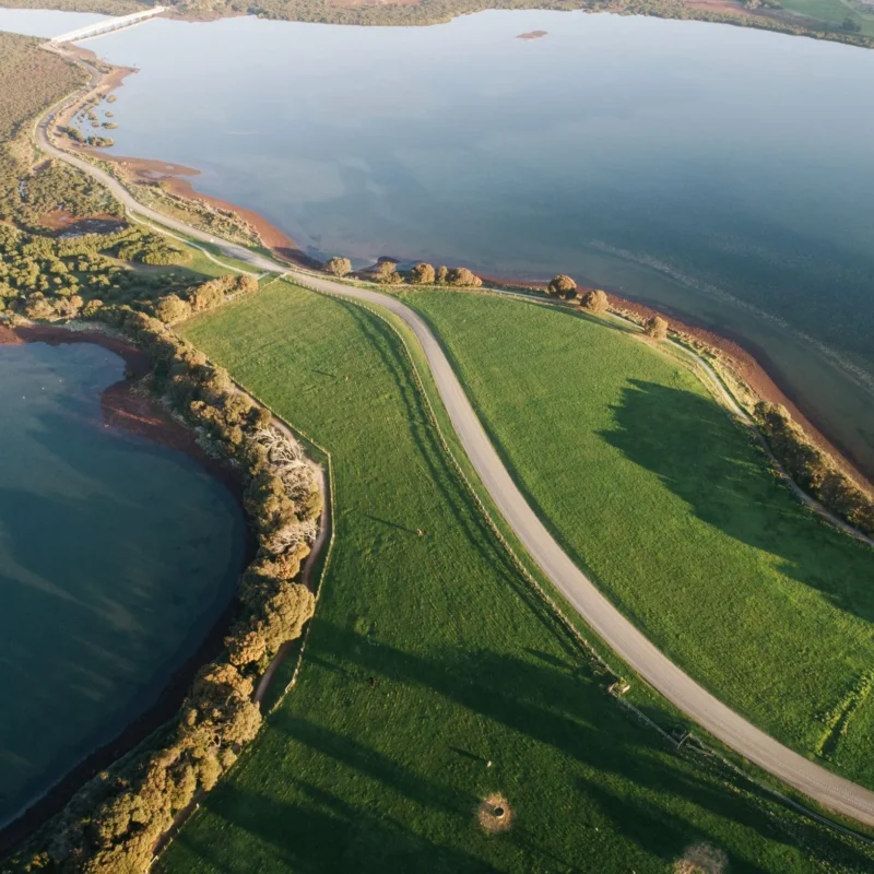 Best time to visit Phillip Island