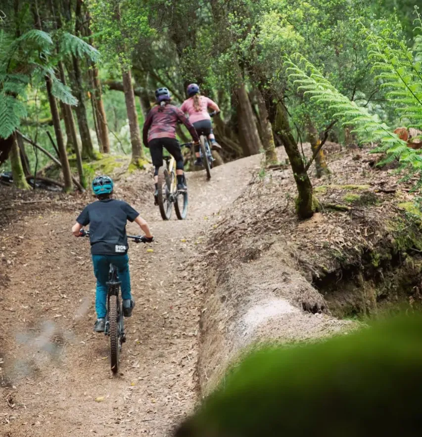 BlueDerby Mountain Bike Trails