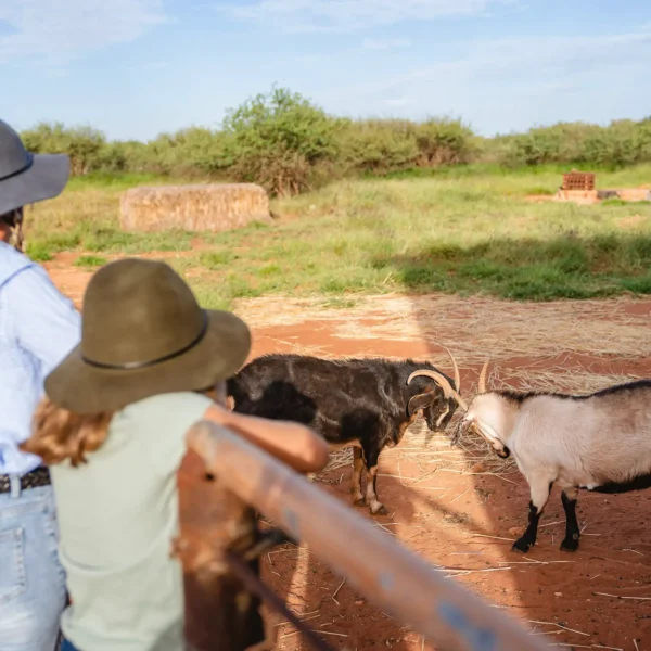 Bullara Station Exmouth Tourism 1
