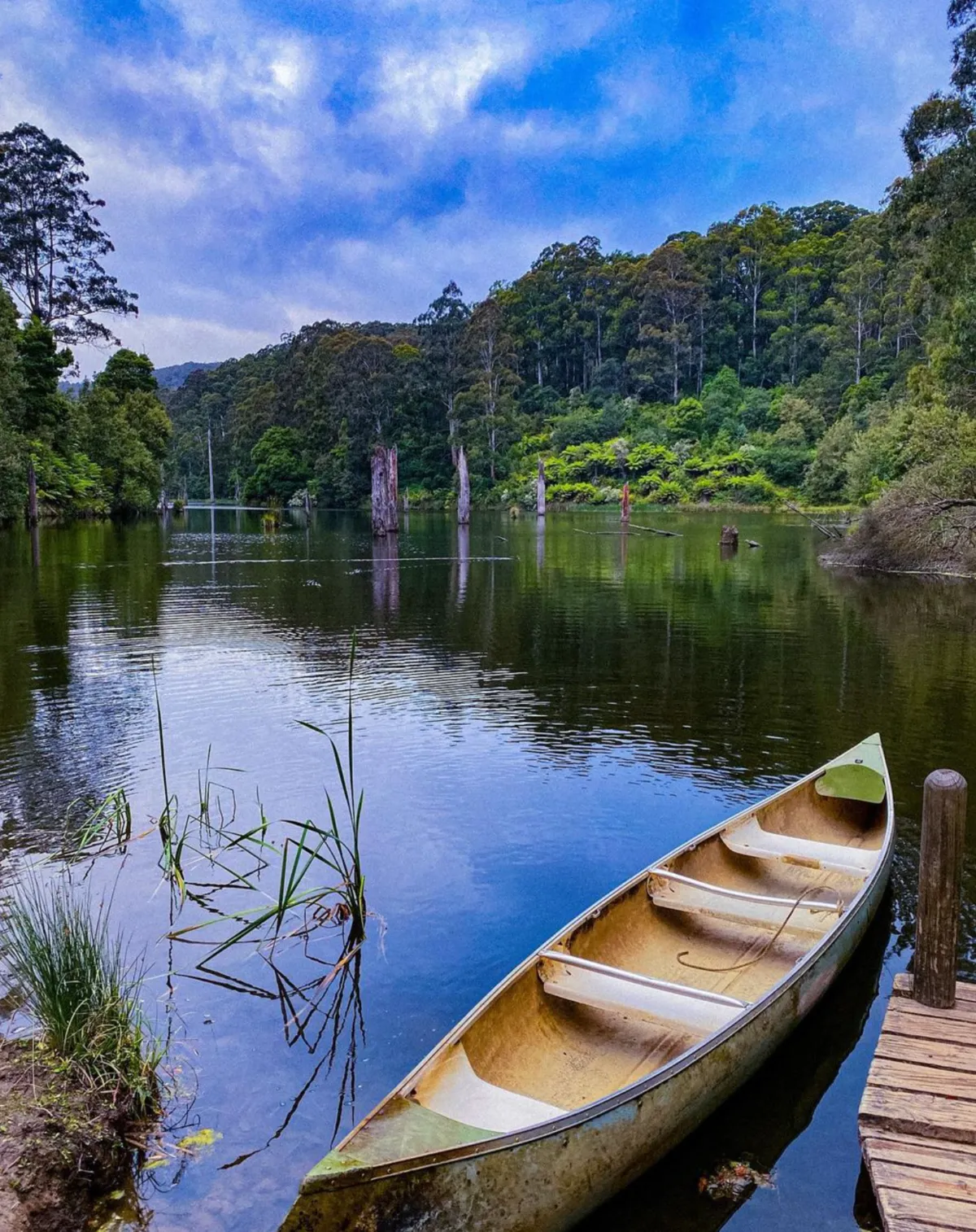 Calm Waters Lake Elizabeth’s