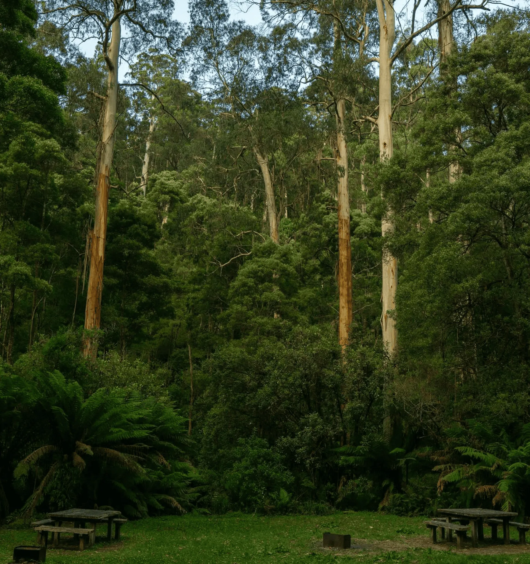 Camping at Lookout