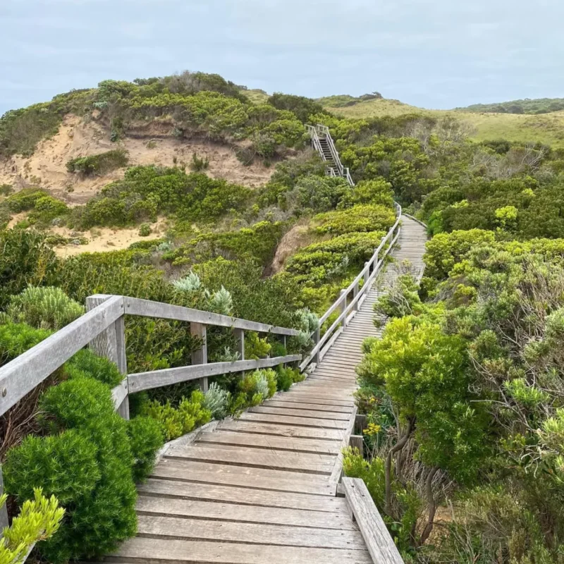 Cape Otway to Aire River Hike