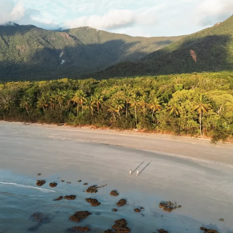 Cape Tribulation