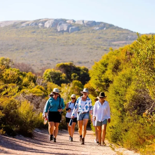 Cape to Cape Track tour