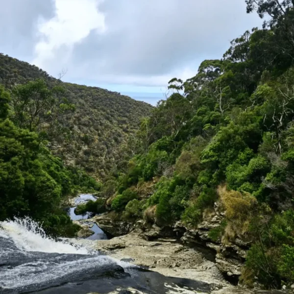 Carisbrook Falls