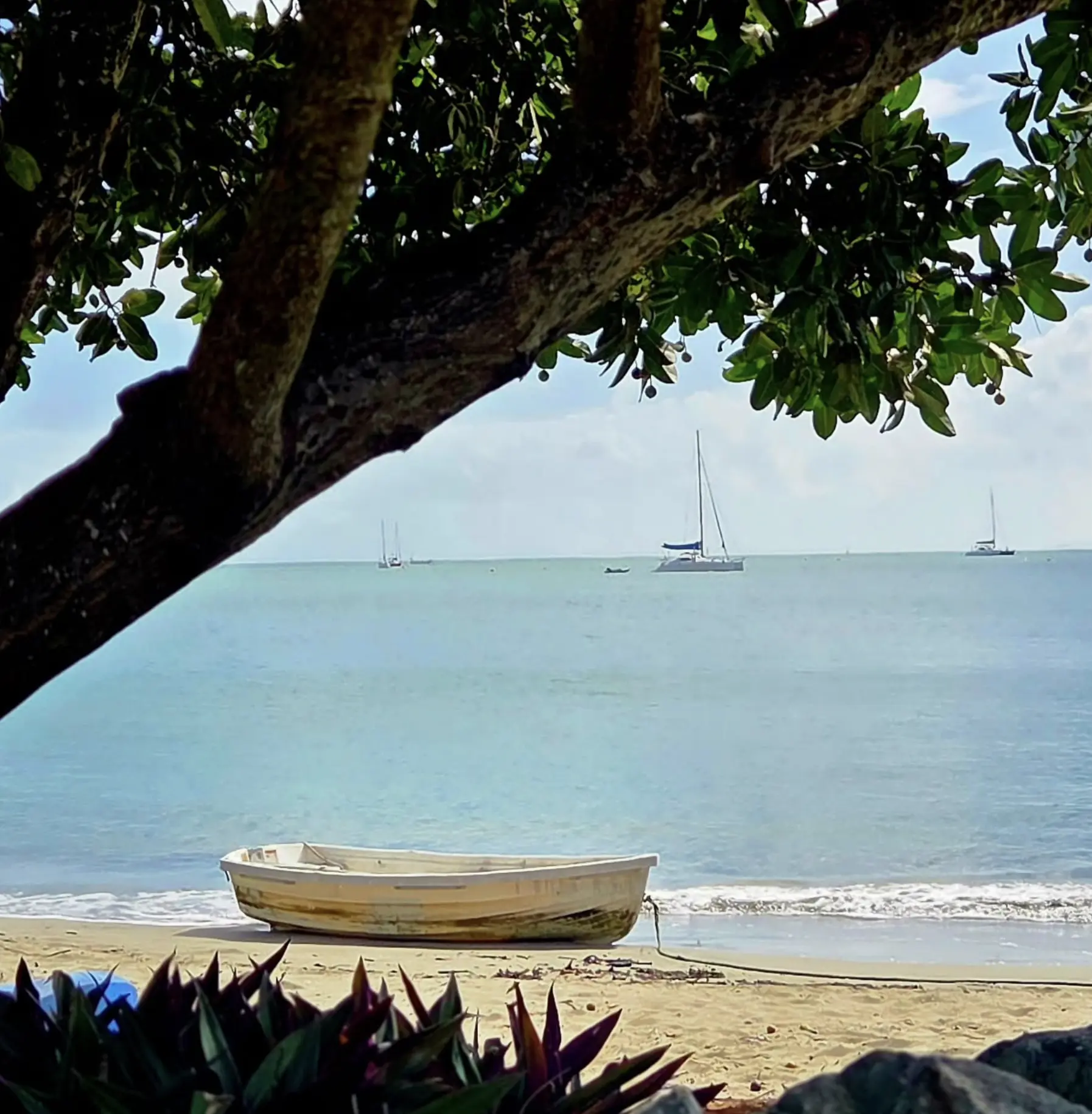 Choose The Right Boat