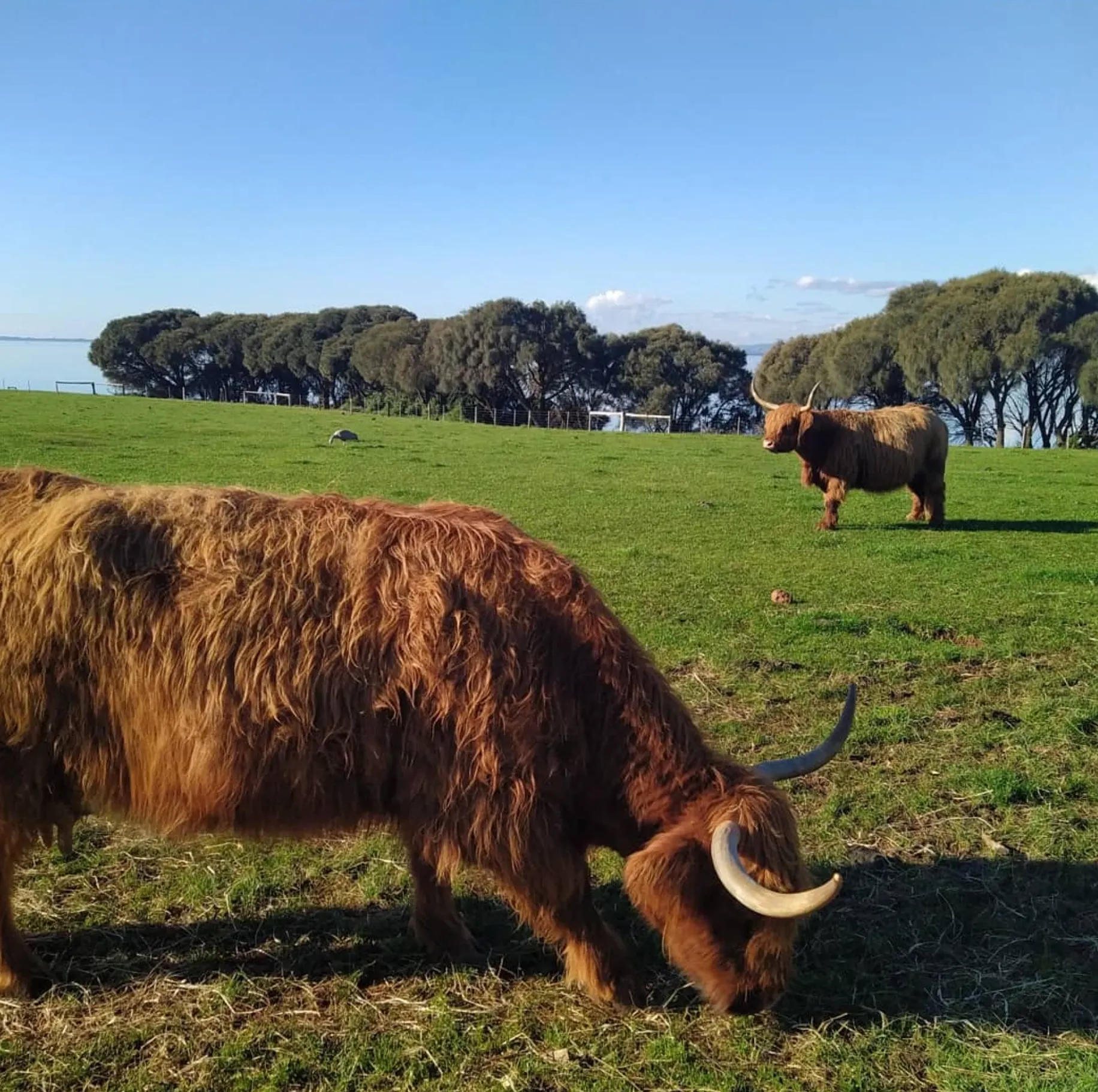 Churchill Island Marine National Park