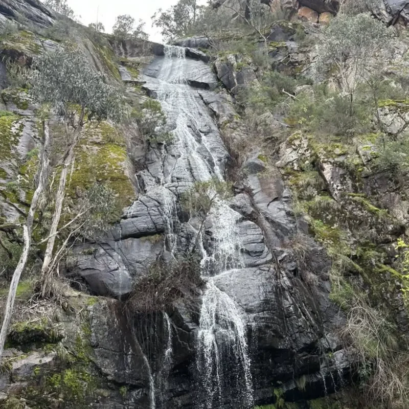 Clematis Falls