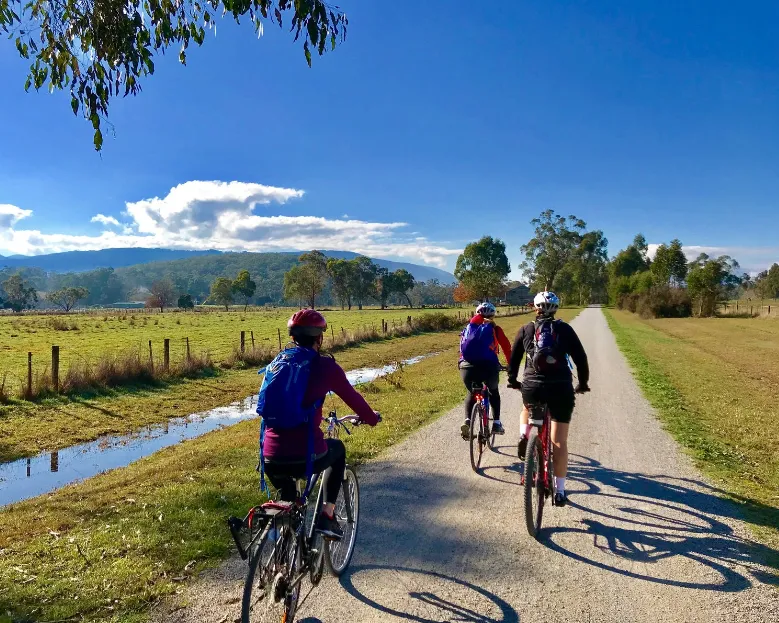 Consider going for a bike ride along the Yarra Trail