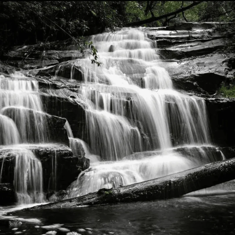 Cora Lynn Cascades Walk