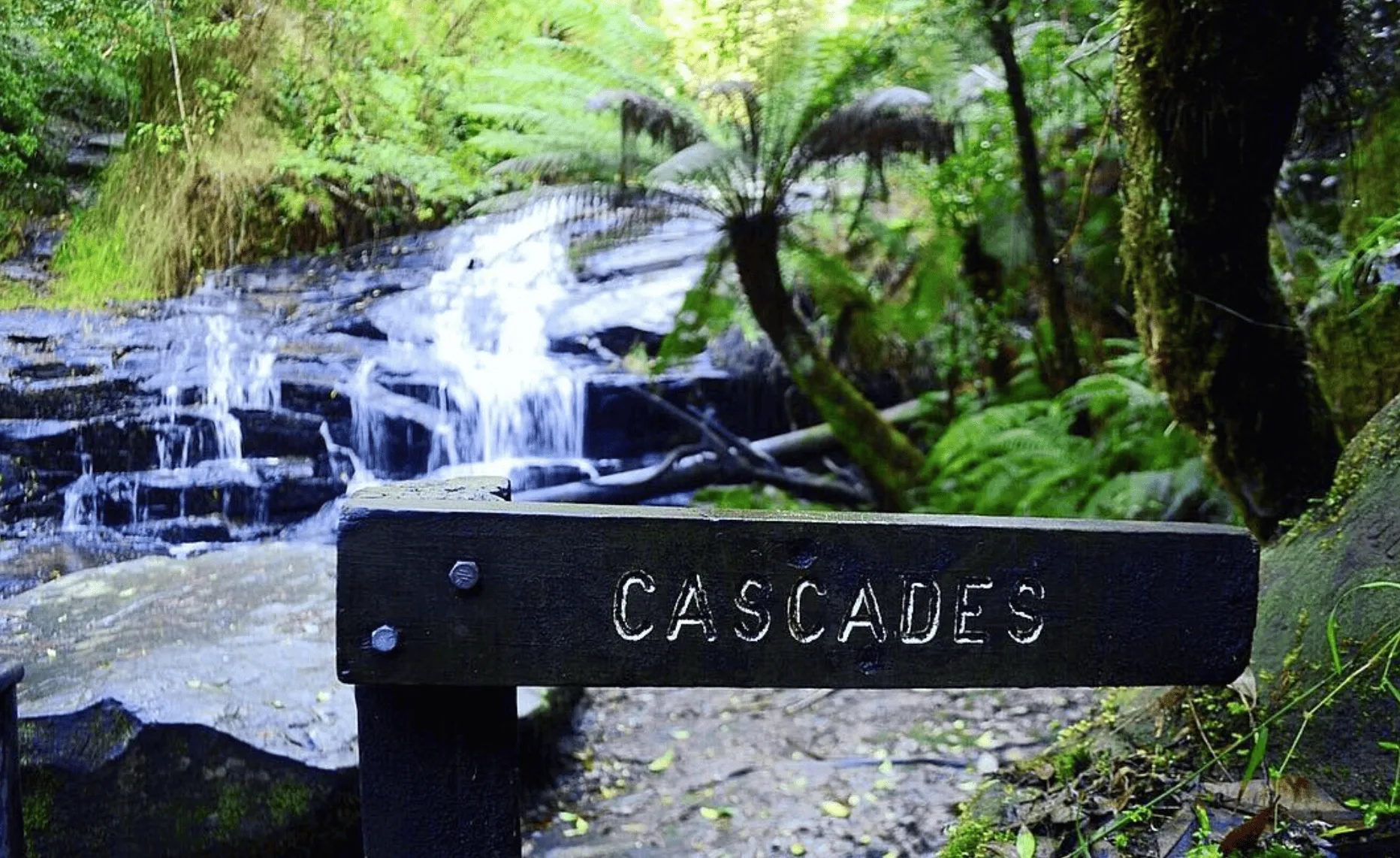 Cora Lynn Cascades