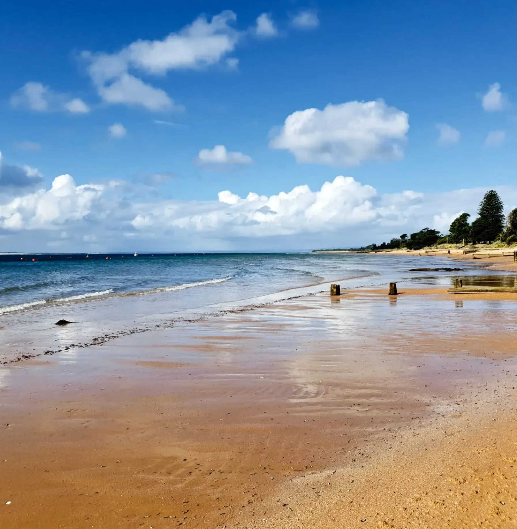 Cowes Phillip Island