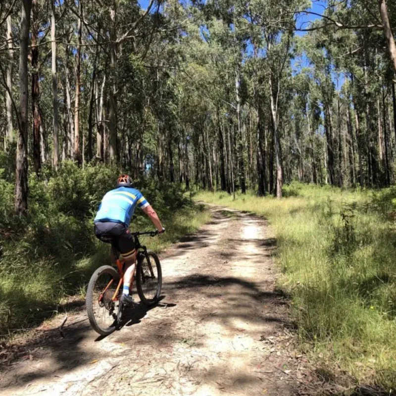 Cycle part of the Great Ocean Road on a mountain bike