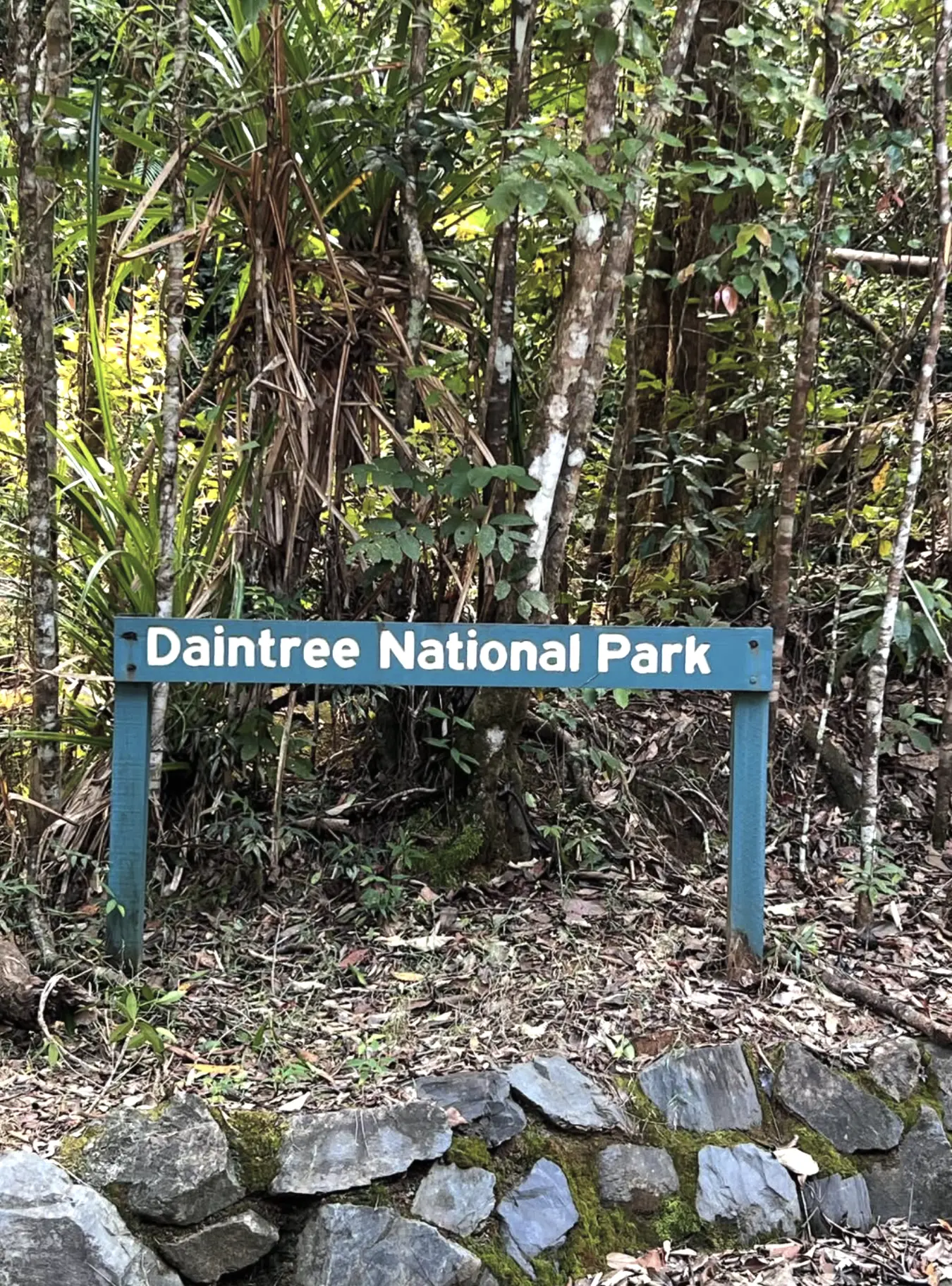 Daintree National Park